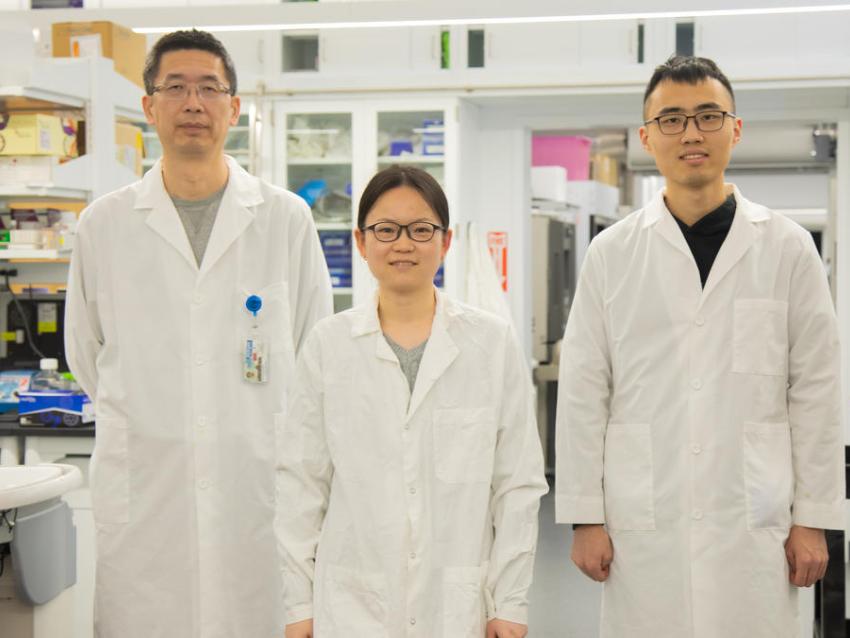 Sheng Tong, Xiaoyue Yang and Zhongchao Yi pose in laboratory.